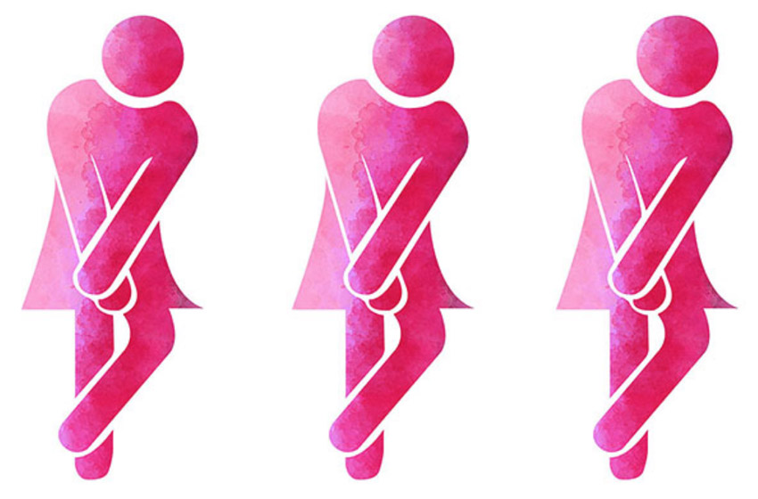 aparato urinario de la mujer