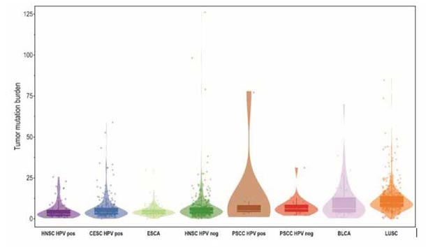 Virus Papiloma Humano