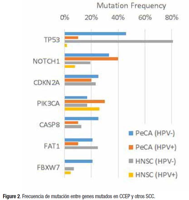 Virus Papiloma Humano