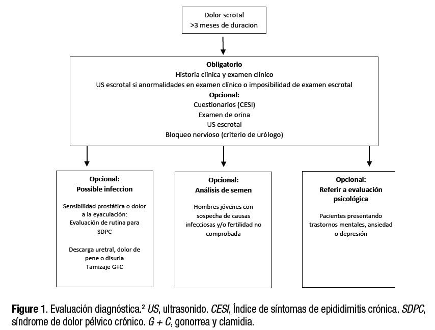 Dolor escrotal crónico
