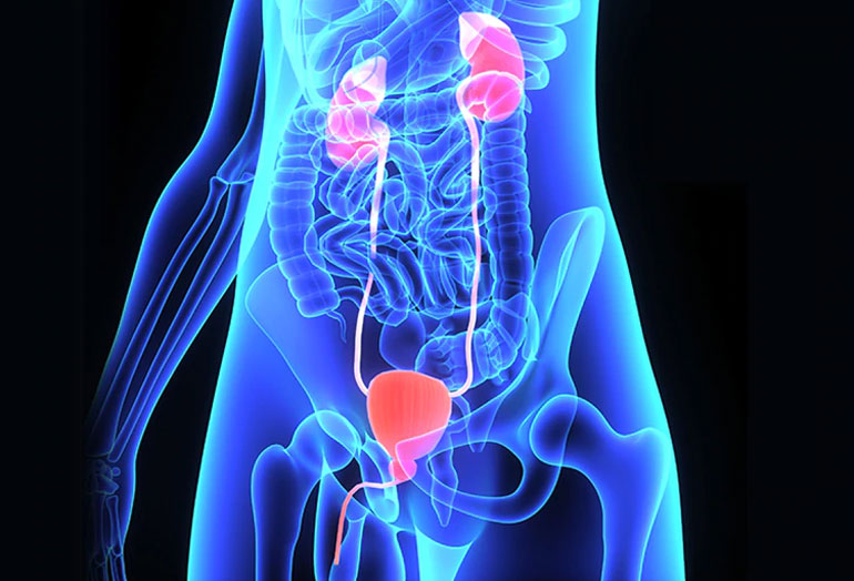 Dolor escrotal crónico